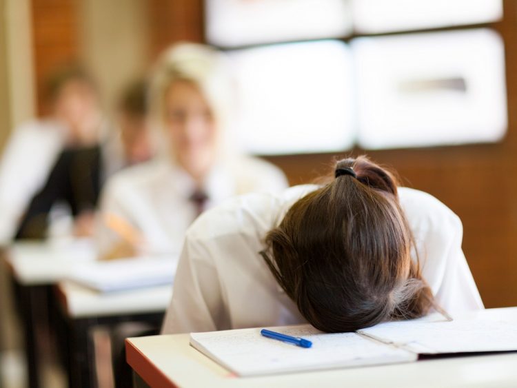 Học đối phó là gì? Hiện thực học đối phó hiện nay