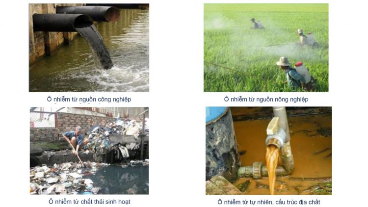 Ô nhiễm sinh học là gì? Nguyên nhân và hậu quả của ô nhiễm sinh học