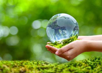 Top những việc làm bảo vệ môi trường xanh, sạch, đẹp